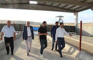 Devletten 4 milyon lira destek aldı, günde 5 ton...