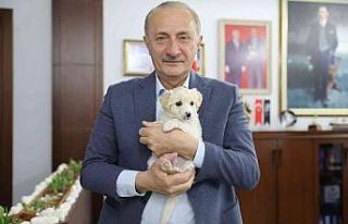 Didim’de hurda malzemeler can dostlar için yuva...