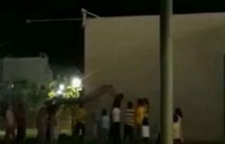 Direkte mahsur kalan kediyi çocuklar kurtardı