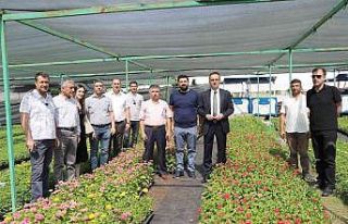 Diyarbakır’da 20 bin çam fidanı ve 500 bin mevsimlik...