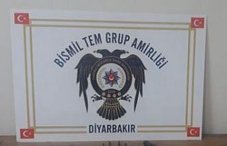 Diyarbakır’da ’huzur uygulaması’: 18 gözaltı