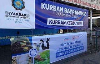 Diyarbakır’da vatandaşlar kurbanlıklarını profesyonel...