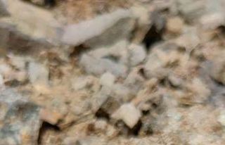 Doğada fark edilmiyor, Sivas’ta görüntülendi