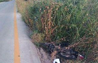 Domuza çarpan motosiklet sürücüsü ölümden döndü