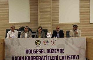 DTSO’da 15 ilden 40 kadın kooperatifi bir araya...