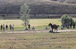 Düğün için oynanan ciritte ciritçinin attan düşmesi...