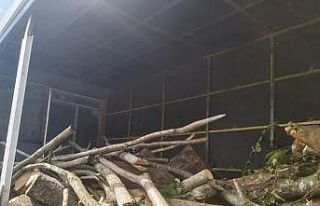 Durdurulan kamyondan 3 ton kaçak orman ürünü çıktı