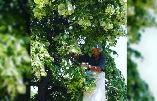 Düzce, ülke ekonomisine katkı verdi