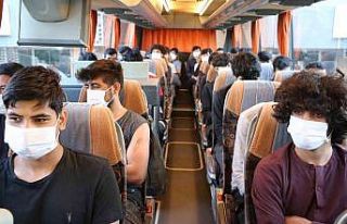 Edirne’de 215 Afgan göçmen sınır dışı edilmek...