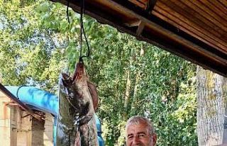 Edirne’de amatör balıkçı tam 40 kiloluk yayın...