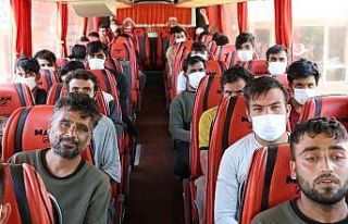 Edirne’de yakalanan 363 göçmen sınır dışı...