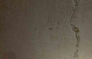 Elazığ’da dev çekirge görüntülendi