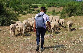 Elinde değneği, sırtında okul çantası, önünde...
