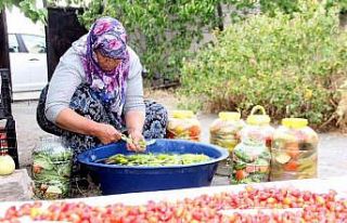 Erzincan’da kadınların turşu mesaisi başladı
