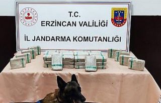 Erzincan’da tır içerisinde 25 kilo 720 gram eroin...