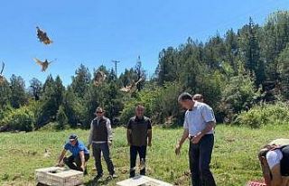 Eskişehir’de yüzlerce kınalı keklik doğaya...