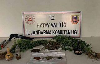 Evinde kubar esrar yetiştiren şüpheli gözaltına...