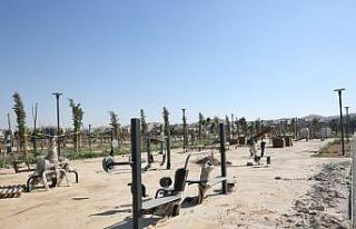 Eyyübiye Millet Bahçesi ağaçlandırması tamamlandı