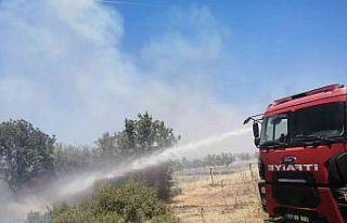 Ezine Belediye itfaiye ekipleri yangın bölgesinde