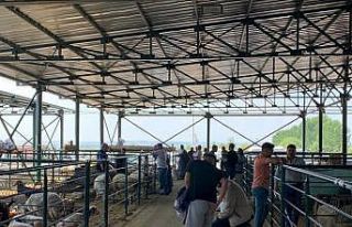 "Fiyatları biraz düşürdükten sonra satışlarımız...