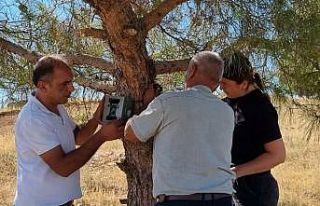 Fotokapanlar bakımdan geçirildi