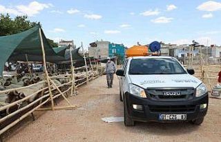 Gaziantep’te kurban satış ve kesim yerleri ilaçlanıyor
