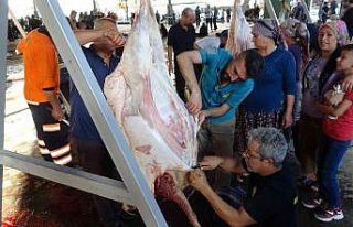 Gaziantep’te vatandaşların kurban kesim telaşı...