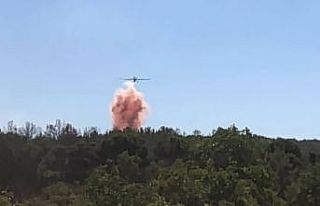 Gaziantep’teki orman yangını 1 saatte kontrol...