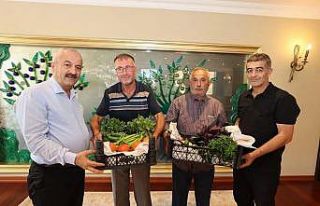 Gebzeli çiftçilerden ilk hasat sürprizi