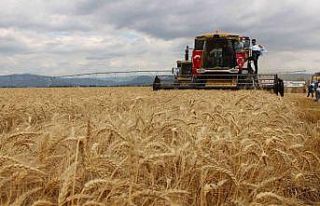 Geçen yılın en kurak kenti Amasya’da yağışlar...