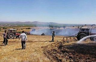 Gönen’de arazi yangını