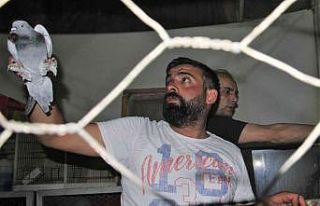 Güvercin sevdası onlar için bir yaşam biçimi