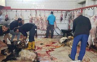 Hakkari’de 3 bin aileye kurban eti dağıtıldı