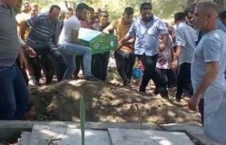 "Harnup hırsızlığı" kavgasında öldürülen...