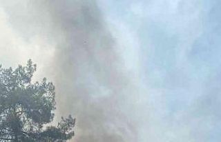 Hatay’da orman yangını