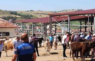 Havza bayrama hazır