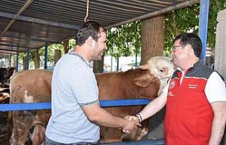 Hayvan satış ve kesim yerleri  bayrama hazır