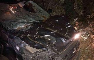 Hayvanlarını yolun karşısına geçirirken canından...