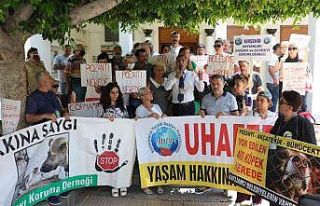 Hayvanseverler 400 köpeğin akıbetini sordu