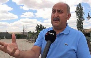 Her ay 100’ün üzerinde köpek bırakılınca,...