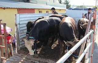 İhtiyaçlıların yüzü gülecek