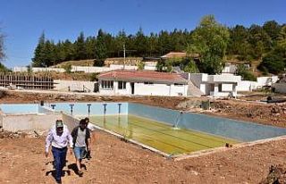 İnönü Yukarı Ilıca Havuz ve Ilıca Park Piknik...