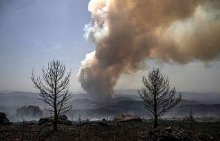 İspanya’daki orman yangınında 2 bin hektarlık...