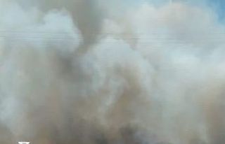 İstanbul - Tekirdağ yolunda yangın: Dumanla kaplanan...