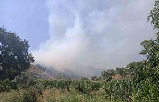 İzmir’de ormanlık alanda yangın