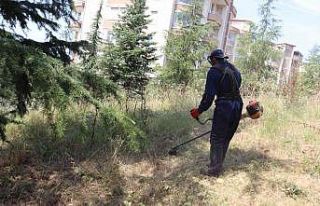 İzmit Belediyesi’nden Alikahya’da tırpan mesaisi