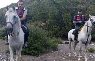 Jandarma atlarla kenevir izi sürdü