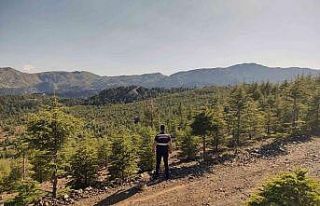 Jandarma orman nöbetinde