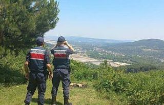 Jandarmadan ormanlara 24 saat devriye