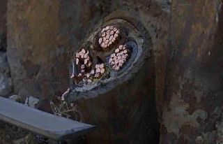 Kabloları çalmak isteyen hırsız yanlış kabloyu...